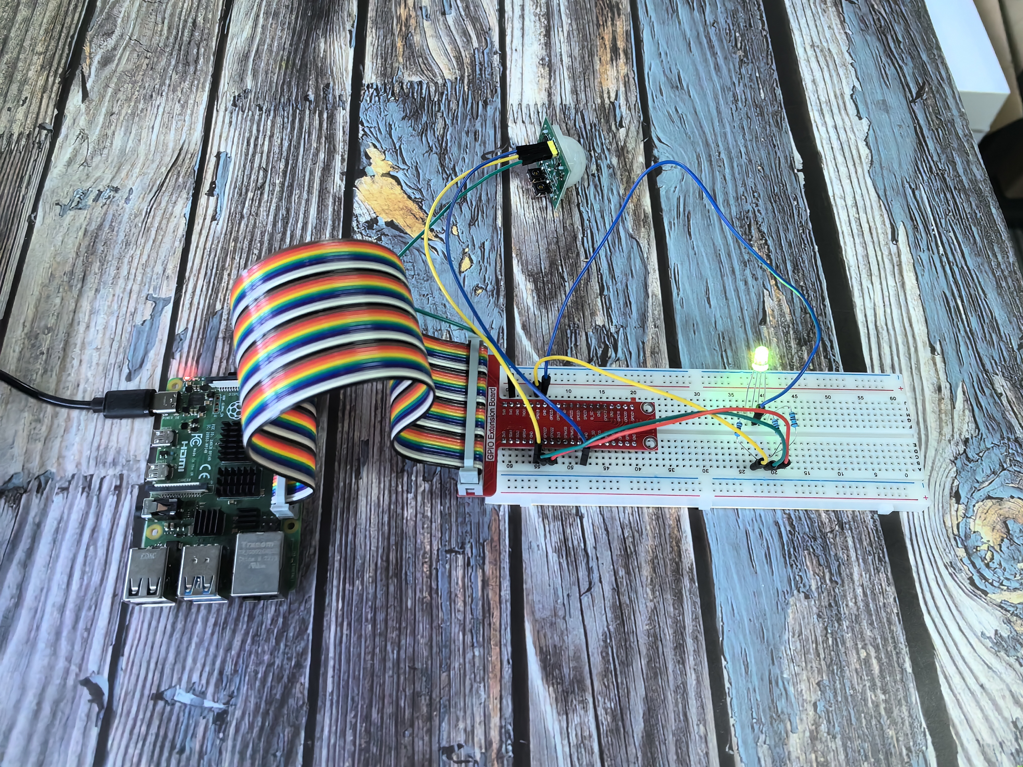 _images/224.jpg